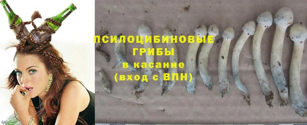 spice Ладушкин