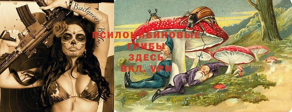 дживик Лагань
