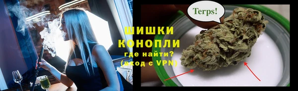 дживик Лагань