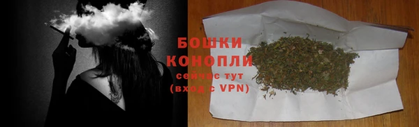 дживик Лагань