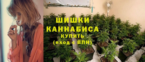 дмт Лиски