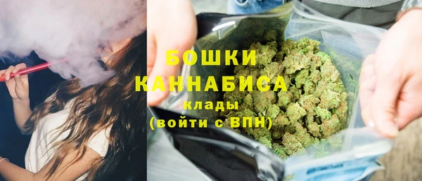 дмт Лиски