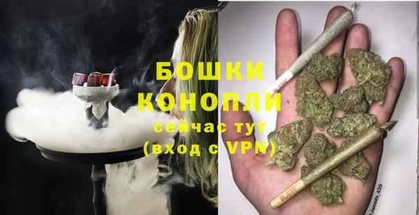 дживик Лагань
