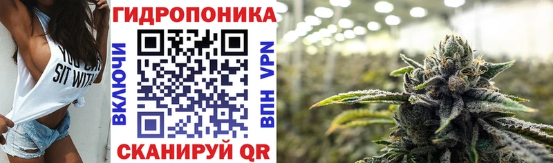 наркота  Юрьевец  Бошки марихуана сатива 